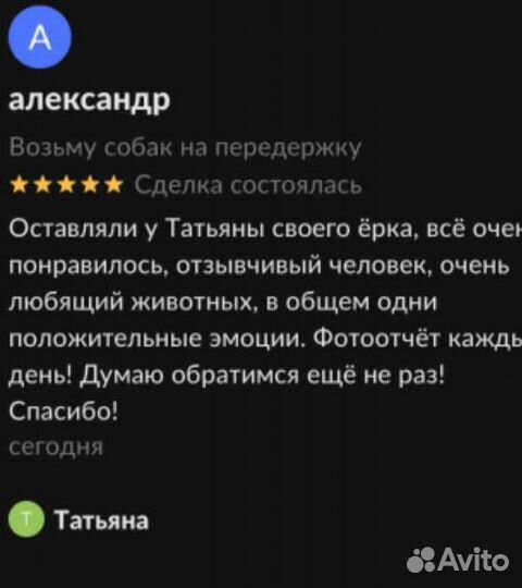Возьму собак на передержку