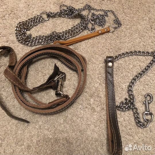 Поводки для собак