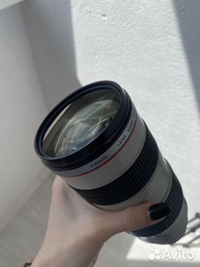 Объектив canon ef 70-200 mm 2.8 L USM