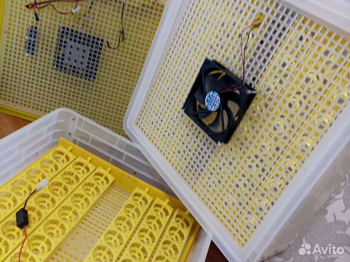 Инкубатор для яиц автоматический бу