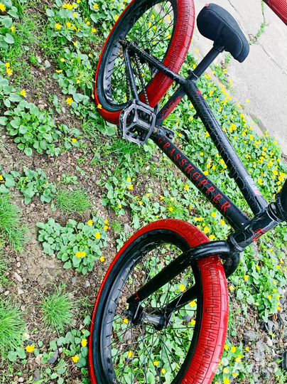 Велосипед BMX TT grasshopper