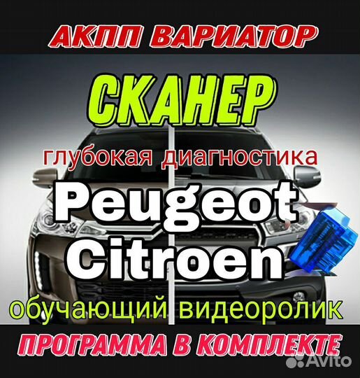 Сканер FAP Peugeot Citroen + Программа + Обучение
