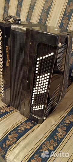 Баян тульский