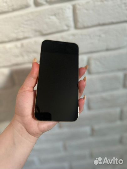 iPhone 12 Pro Max, 256 ГБ