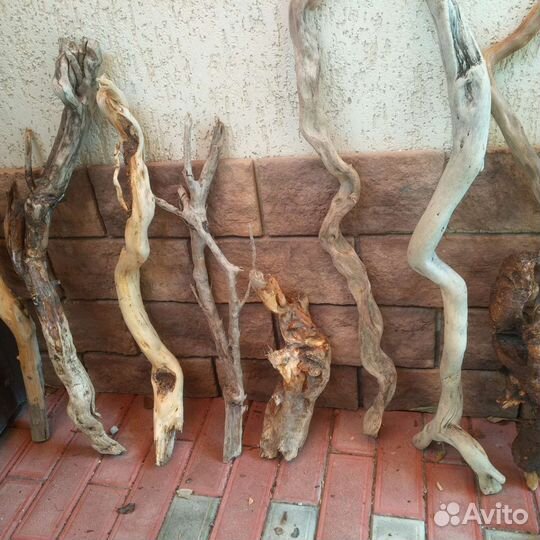 Коряги дрифтвуд