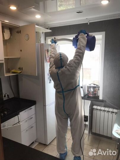 Уничтожение тараканов