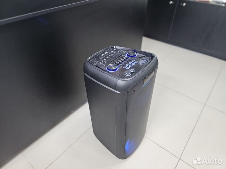 Новая колонка Eltronic 20-12