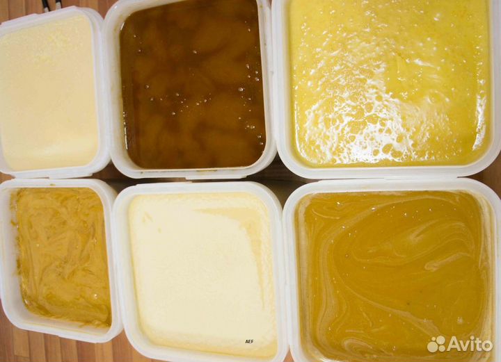 2024 Мёд натуральный с Алтая опт