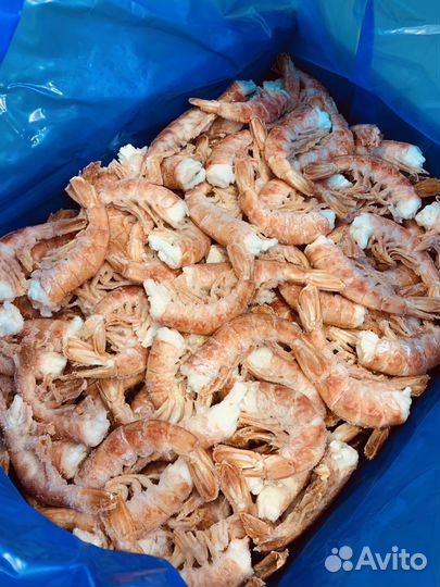 Аргентинские Лангустины C1 без голов