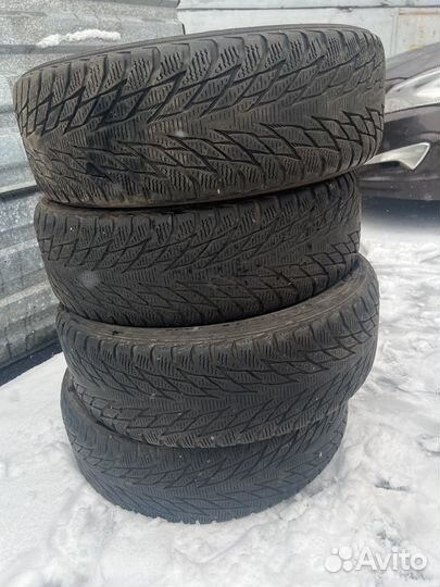 Nokian Tyres Hakkapeliitta R2 195/65 R15