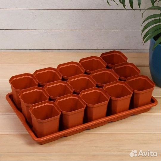 Набор для рассады