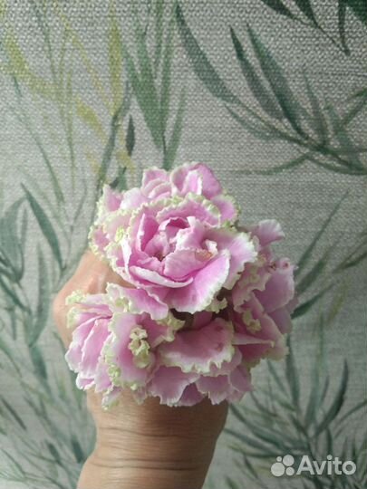 Фиалки от Яло