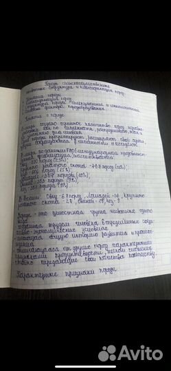 Перепишу конспект, лекцию