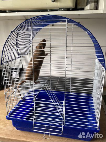 Клетка для крыс, грызунов