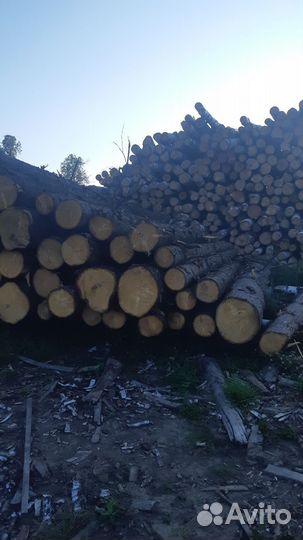 Рамщик сподрамщком