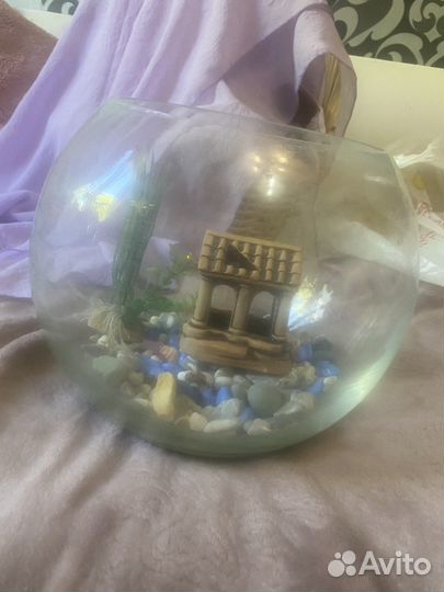 Аквариум + всё что нужно