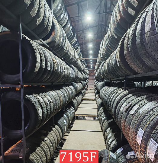 Tigar Winter 215/60 R17 93N