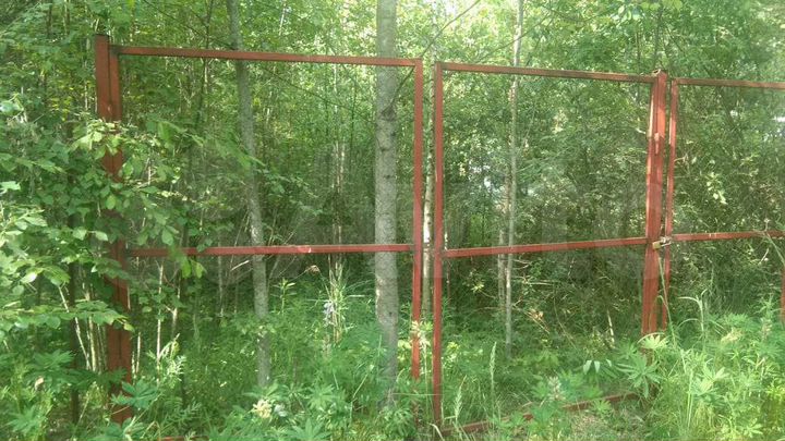 Участок 6 сот. (СНТ, ДНП)