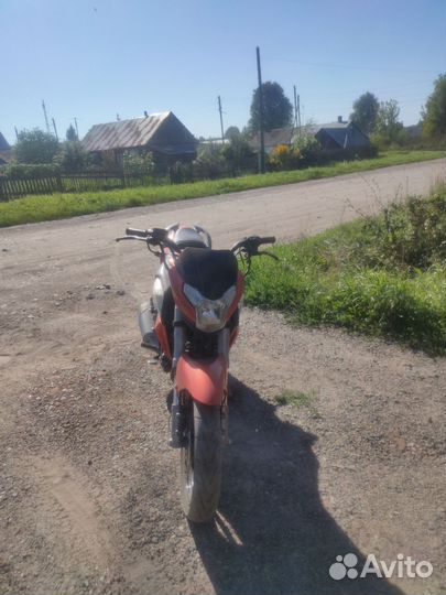 Racer Fighter RC250CK-N