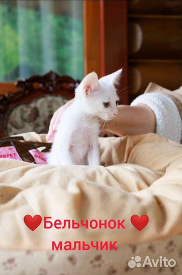 Невероятно ручной малыш в добрые ручки