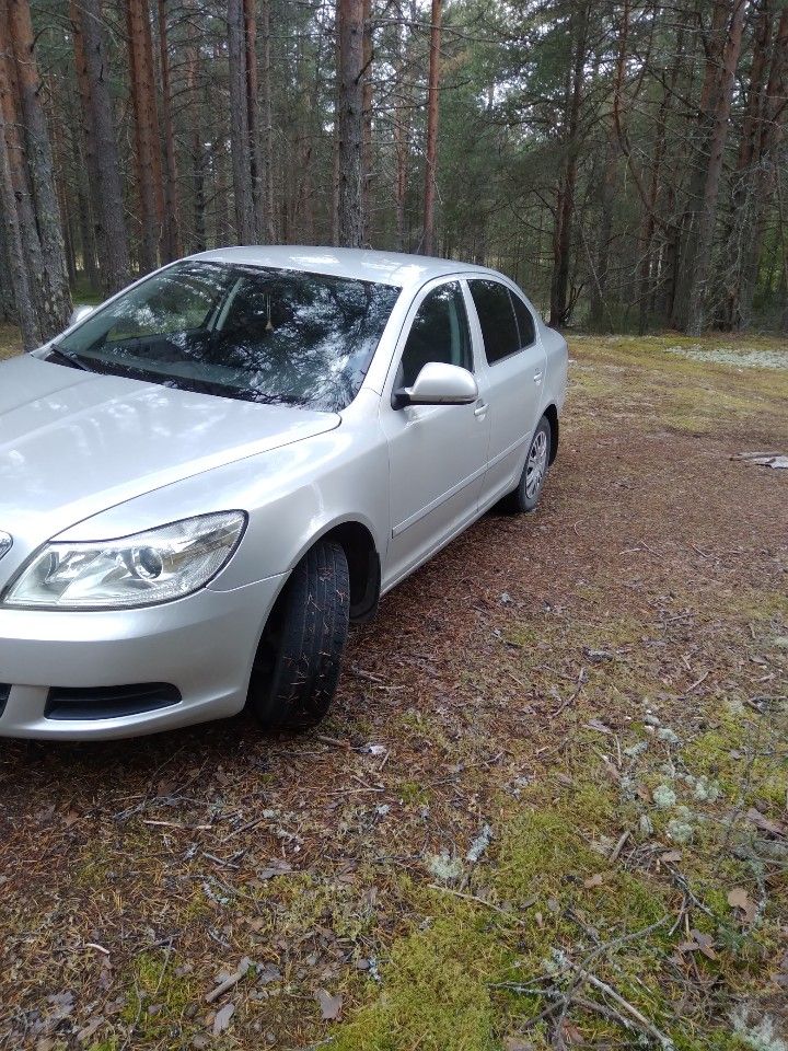 Skoda Octavia: фото владельца