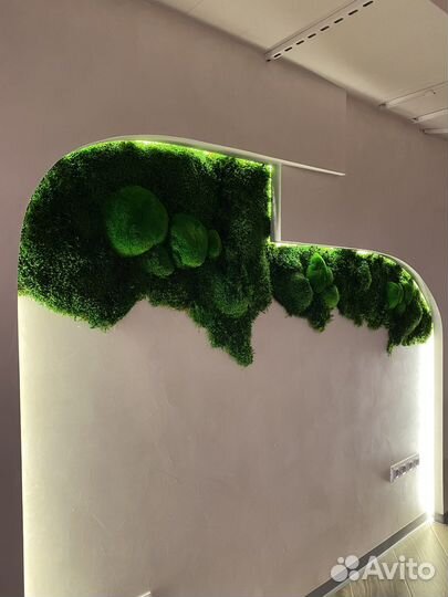 Мох. Озеленение. Фитостена. Декор. Мебель