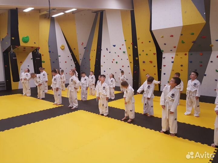 Будо маты, татами