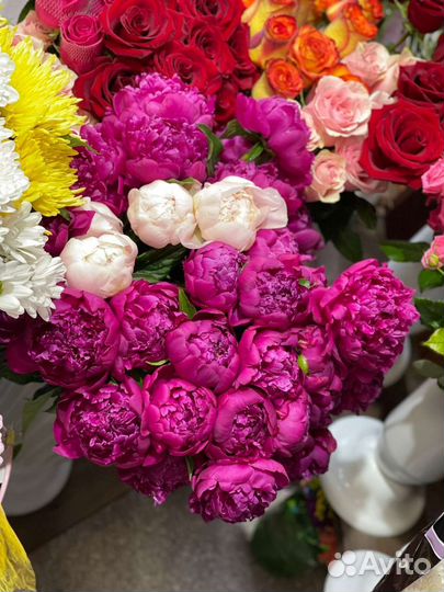 Пионы букет