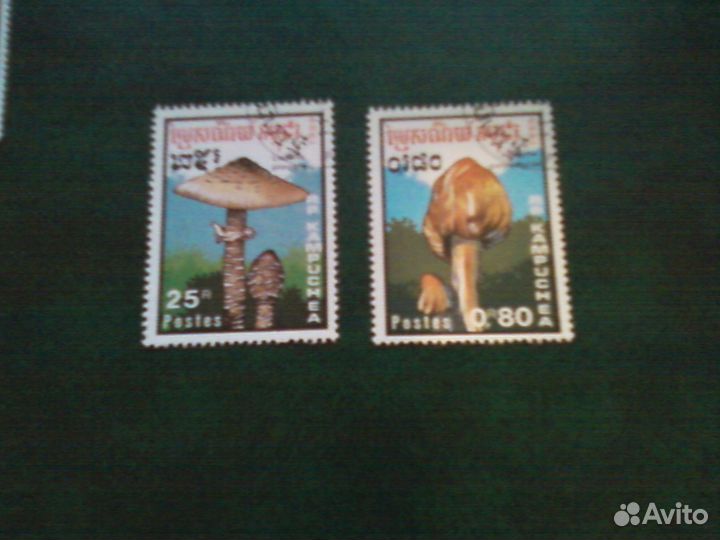 Грибы (1989, Кампучия)