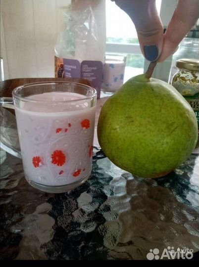 Яблоня Лимонка, Груша деревья