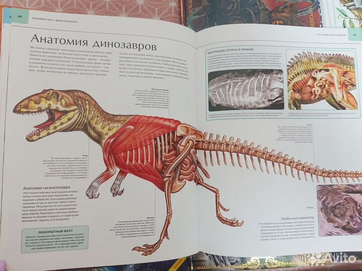 Детские энциклопедии