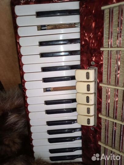 Аккордеон