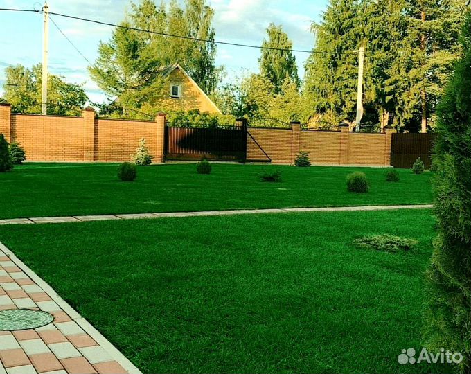 Рулонный газон
