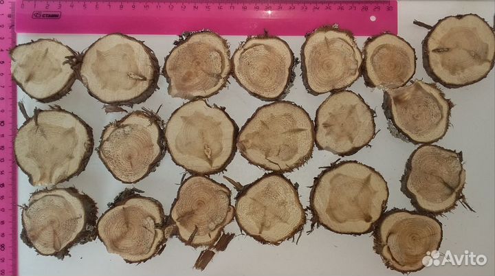 Спилы можжевельника (толщиной 1 - 2 см)