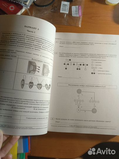 Сборник рохлова ЕГЭ 2024 по биологии