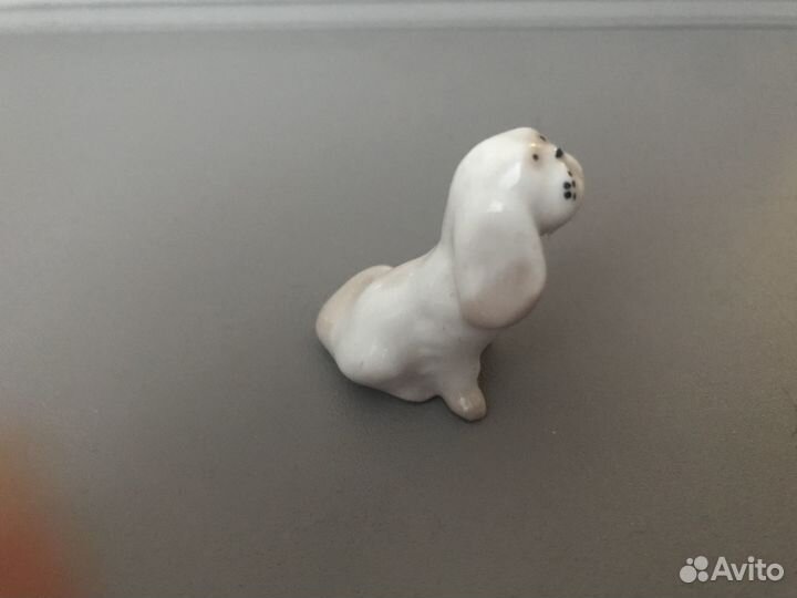 Собачка болонка лфз