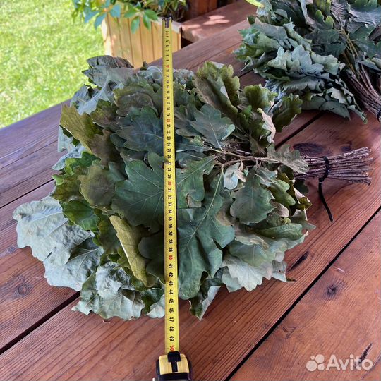 Дубовые веники для бани