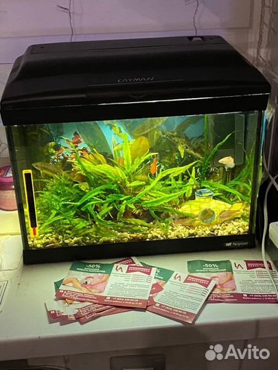 Украшение для аквариума