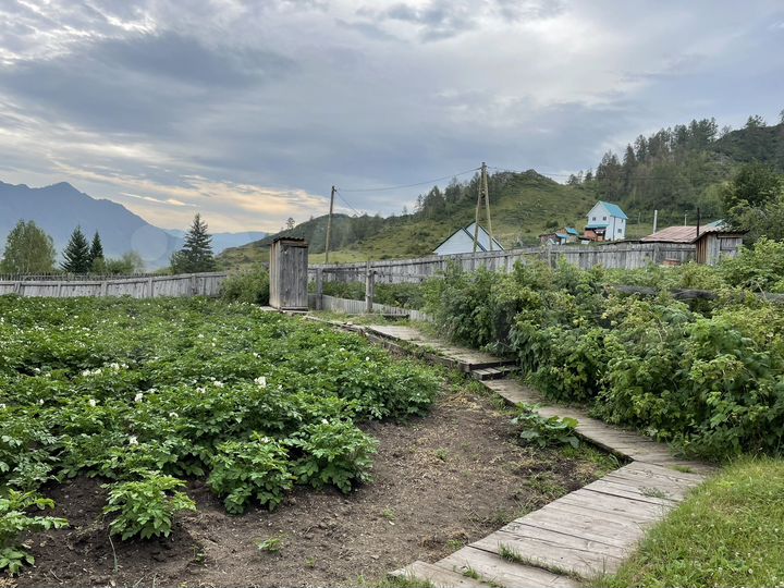 Дом 31 м² на участке 6 сот.