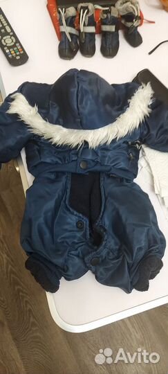 Куртка для небольшой собачки 5-6 кг., утепленная