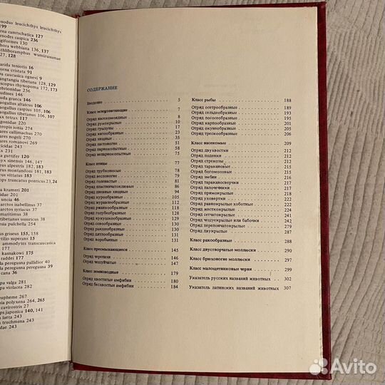 Редкие животные нашей страны энциклопедия