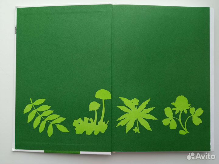 Плешаков Атлас определитель От Земли до неба