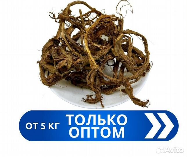 Красный корень