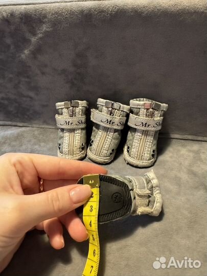 Ботинки для собак мелких пород