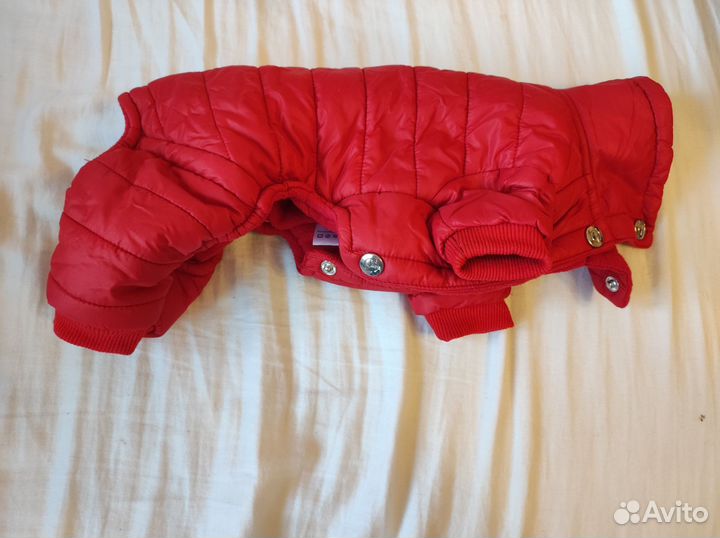 Одежда для маленьких собак