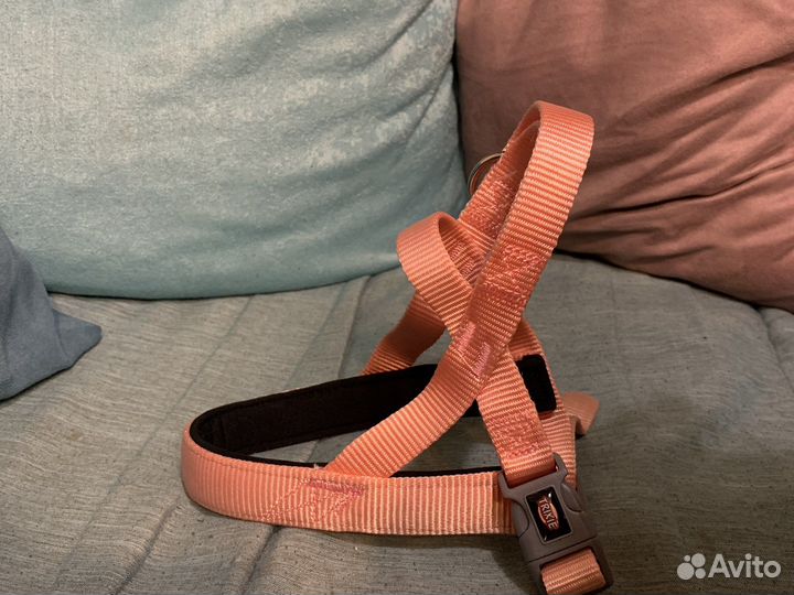 Шлейка для собаки