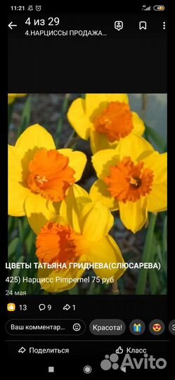 Продам луковицы цветов
