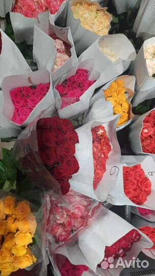 Роза Пачками Поштучно База цветов Опт