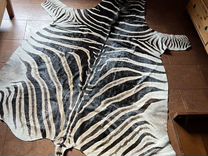 Шкура зебры, африка