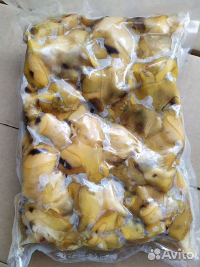 Опт черномор. рыба, морепродукты, живые моллюски